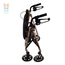 Deluxe Mobility Rollator
